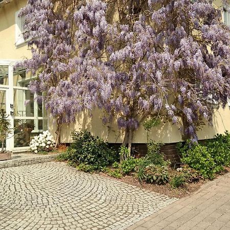 Pension Franzbaecker Warburg Exteriér fotografie