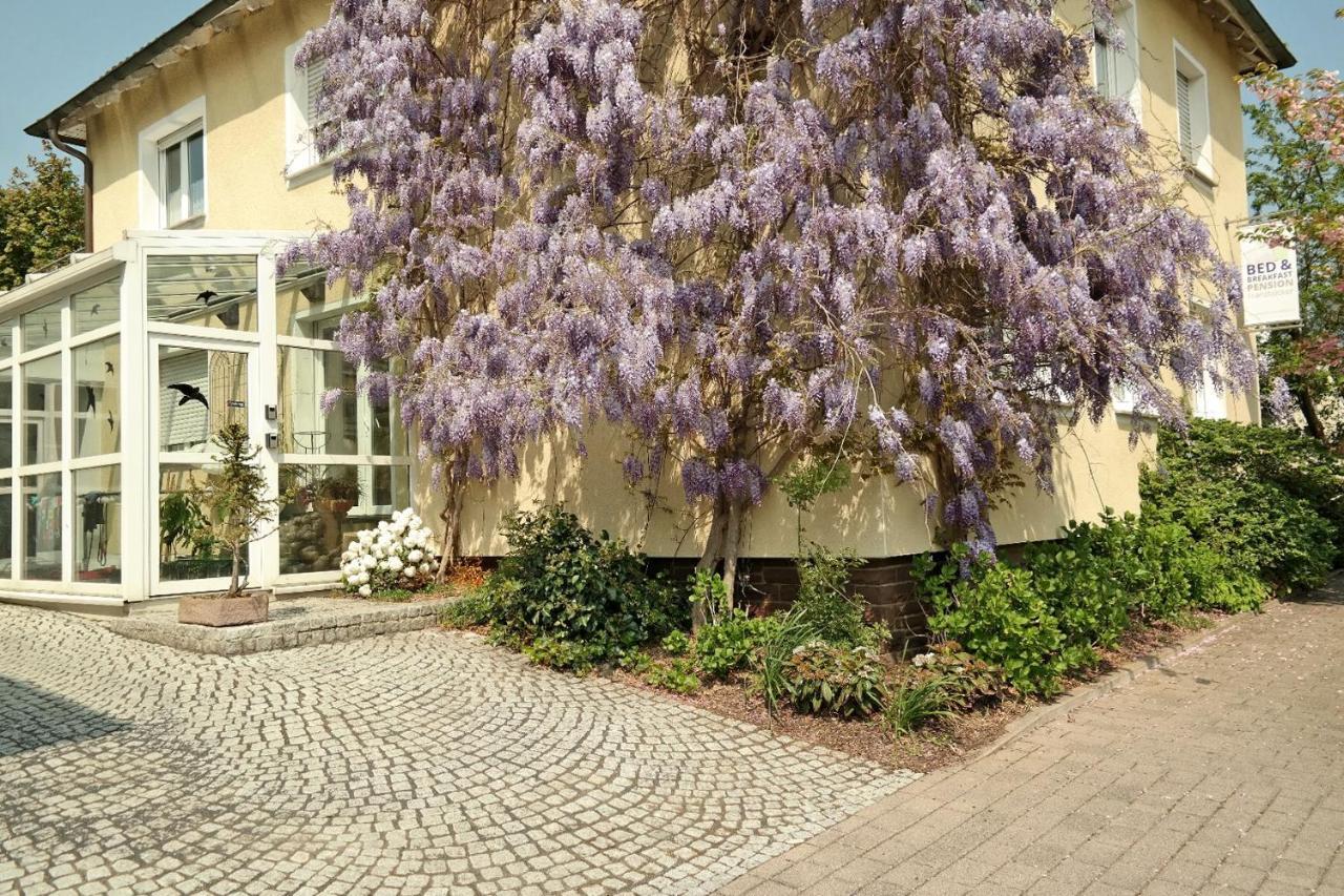 Pension Franzbaecker Warburg Exteriér fotografie